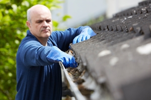 Care Tips Gutters